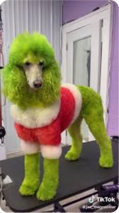 a green poodle standing on top of a table