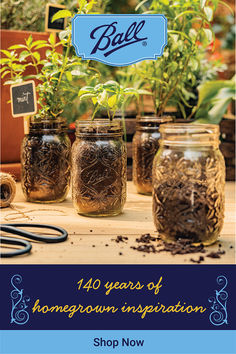 some jars filled with dirt and plants on top of a table