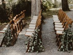 rows of wooden chairs with greenery on them are lined up in front of trees