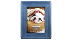 a blue frame with a small dog laying on it's side and the number 537