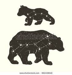 two bears with stars on their backs, one in the shape of a zodiac sign