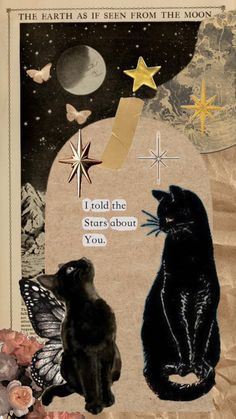 two black cats sitting next to each other on a piece of paper with stars in the background