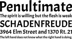 an advertisement with the words penulinate in black and white, including two lines