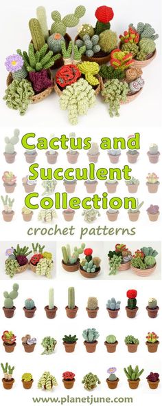 cactus and succulent collection crochet patterns