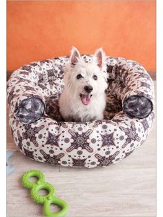 a small white dog sitting in a pet bed next to a green pair of scissors