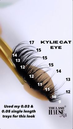 Wispy Cat Eye Lash Extensions Mapping, Kylie Lash Extensions Mapping, Long Lash Mapping, Lash Theme Ideas, Lash Map Wispy Cat Eye, Lash Map Ideas, Wet Lash Mapping, Kylie Lash Extensions Map, Dramatic Lash Mapping