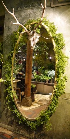 a mirror that is hanging on the wall in front of a plant potted tree