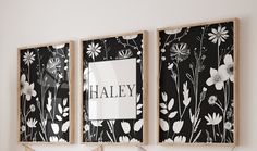 two black and white pictures hanging on the wall above a shelf with clothes hangers