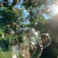 soap bubbles are floating in the air near some trees and bushes on a sunny day