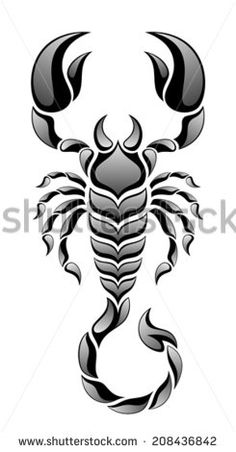 a black and white scorpion tattoo design