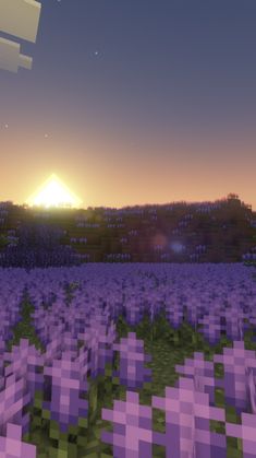 the sun is setting over a field full of purple flowers in minecraft's landscape