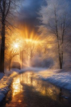 the sun shines brightly through the foggy trees and snow covered ground in this winter scene