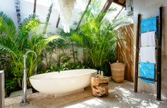 a bath tub sitting in the middle of a bathroom next to a shower head and plants