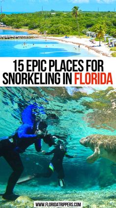 15 Epic Places for Snorkeling in Florida What To Do In Florida, Coco Beach Florida, Florida Itinerary, Best Places To Snorkel, Family Tropical Vacation, Things To Do In Florida, Best Beach In Florida