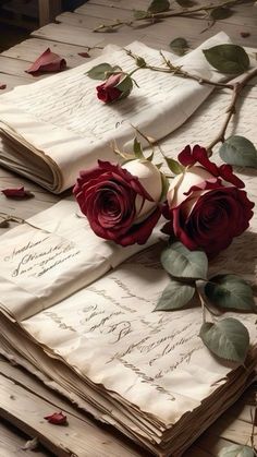 two roses are sitting on top of an old letter and some papers that have been folded into them