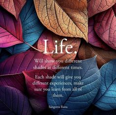 colorful leaves with a quote about life