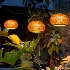 three yellow lights are hanging from the ceiling above some plants and other greenery in front of a brick wall