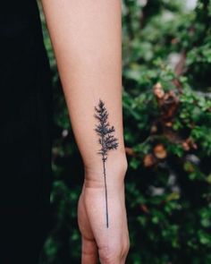 a person's arm with a small tree tattoo on it