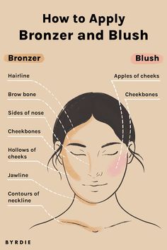 Apply Bronzer, Matte Make Up, How To Apply Bronzer, Face Contouring Makeup, Makeup Tips For Older Women, Makeup Face Charts, How To Apply Blush