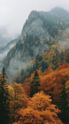 the mountains are covered in fog and trees with yellow leaves on them, as well as clouds