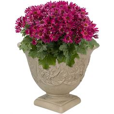 Sunnydaze Decor Indoor/Outdoor Weather-Resistant Double-Walled Darcy Flower Pot Planter - 16 in. - Beige - 1 Planter at Tractor Supply Co. Corner Plant, Resin Planters, Large Flower Pots, Urn Planters, Flower Pots Outdoor, Indoor Outdoor Planter, Outdoor Planter, Planter Pots Outdoor, Outdoor Flowers