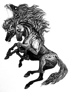 a black and white drawing of a horse with long hair on it's back legs