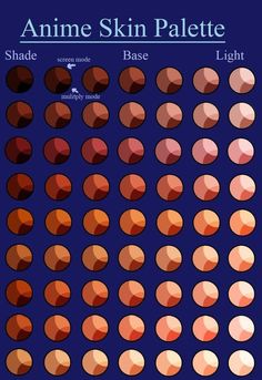 an info sheet showing the different shades of skin and how they are used to create them