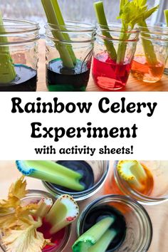 rainbow celery experiment with activity sheets and text overlay that reads, rainbow celery experiment with activity sheets