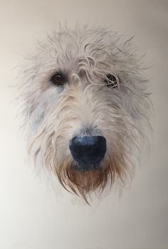 a painting of a dog's face with hair blowing in the wind on a white background