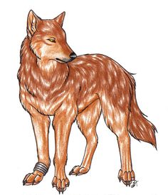 a drawing of a brown wolf standing in front of a white background