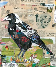 a collage of newspaper clippings with a bird on it