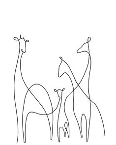 two giraffes are standing next to each other in the same line on a white background