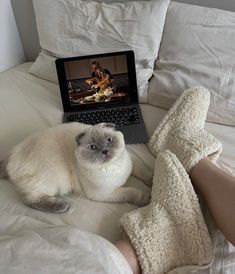 a cat laying on top of a bed next to a person with an open laptop