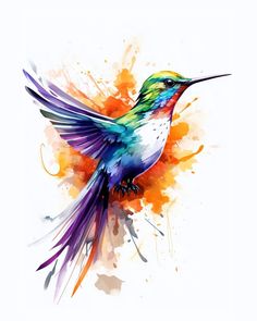 a colorful bird flying with its wings spread