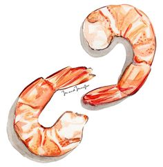 the letter s is made up of shrimps and has been drawn in watercolor