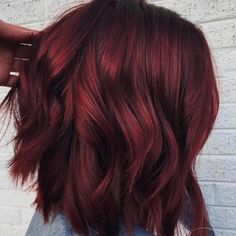 Pinot Noir Red Hair, Dark Cherry Red Hair Medium Length, All Over Brown Hair Color Fall, Chin Length Bob Red Hair, Burgundy Hair With Black Money Piece, Multi Tone Red Hair, Burgundy Hair Medium Length, Cool Dark Red Hair, Cool Reds Haircolor