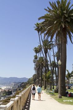 two people walking down a sidewalk next to palm trees and the ocean in the background