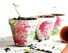 three flower pots filled with dirt and plants