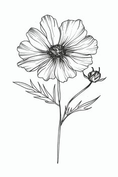 a black and white drawing of a flower