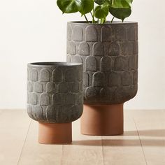 two vases with plants in them sitting on a table