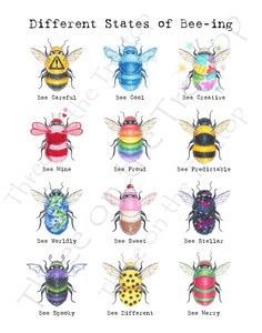 different types of bee - ings are shown in this drawing, with the names below them