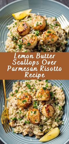 lemon butter scallops over parmesan risotto recipe on a blue plate