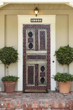 two potted plants sit in front of a wooden door with decorative designs on it