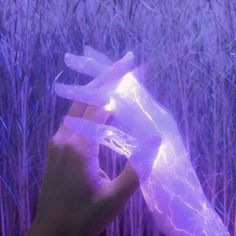 a hand holding something in front of some tall grass and purple light from the camera