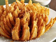 some fried food is on a white plate