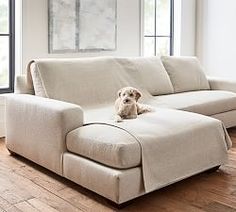 a dog sitting on top of a couch in a living room