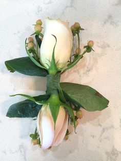 three white flowers with green leaves on a marble surface