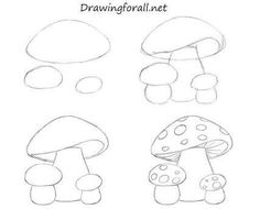 step by step drawing of mushrooms for children to learn how to draw and paint them