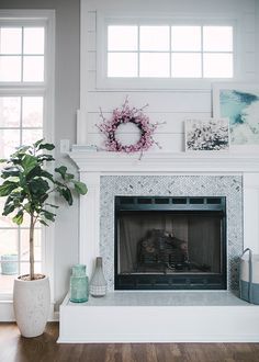 a living room with a fire place, potted plant and pictures on the wall