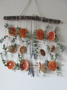 an orange and grapefruit mobile hanging on a wall